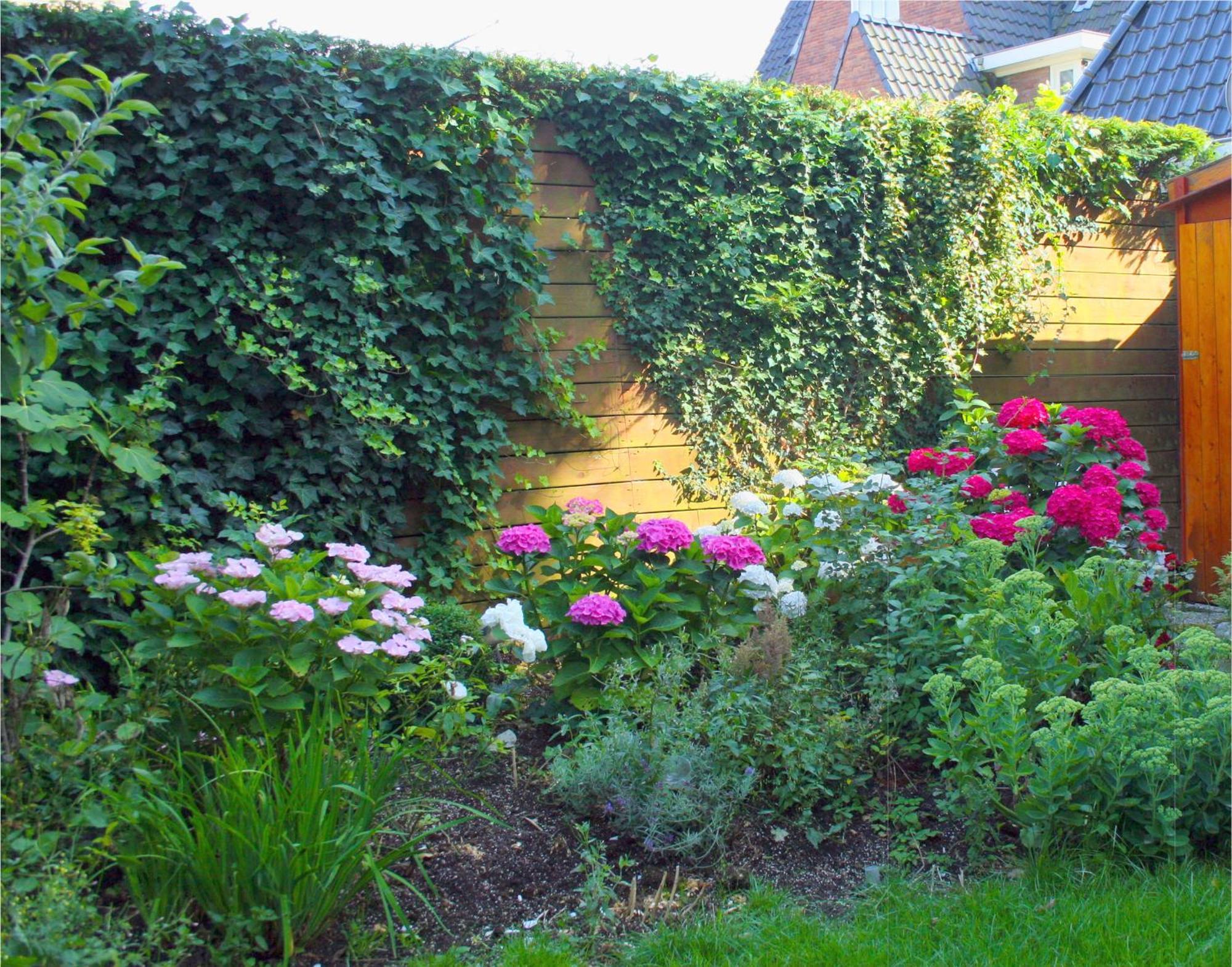 Xaviera'S Bed And Breakfast Amsterdam Eksteriør bilde