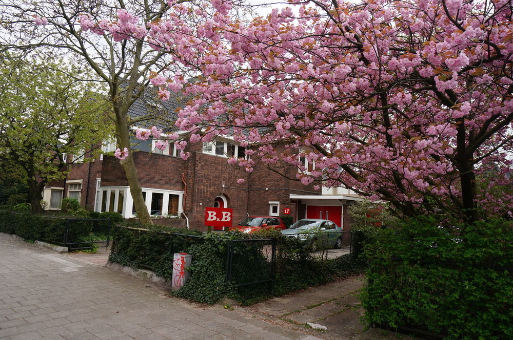 Xaviera'S Bed And Breakfast Amsterdam Eksteriør bilde