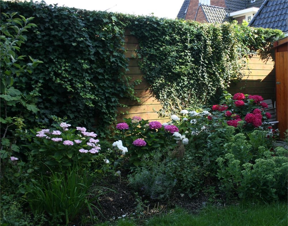 Xaviera'S Bed And Breakfast Amsterdam Eksteriør bilde