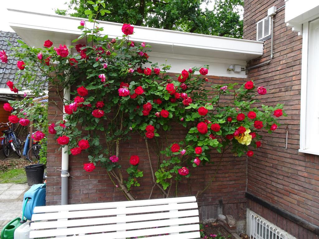 Xaviera'S Bed And Breakfast Amsterdam Eksteriør bilde